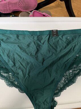 Torrid Curve NWT Size 4 Mid Waist High Leg Shine and Lace Tanga Panty
